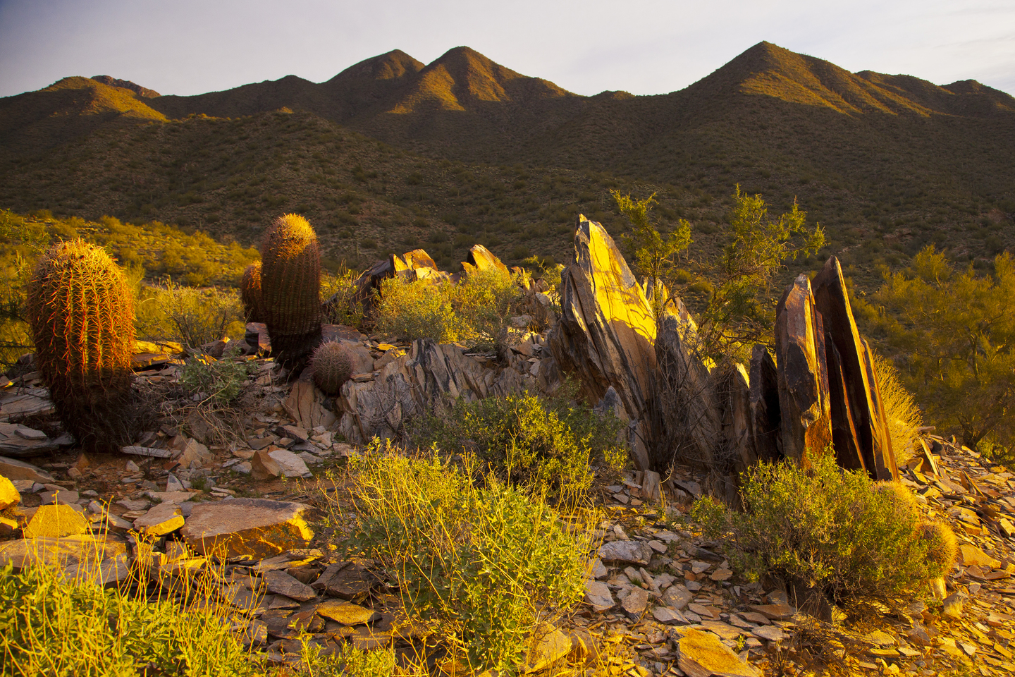 Morning light on rocks in the desert